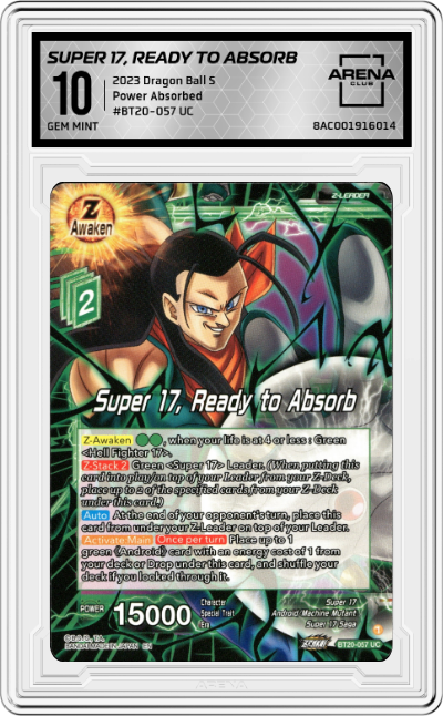 Super 17, Ready to Absorb