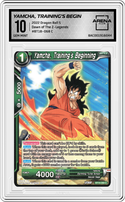 Yamcha, Training's Beginning