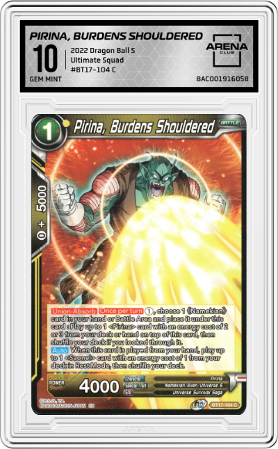 Pirina, Burdens Shouldered