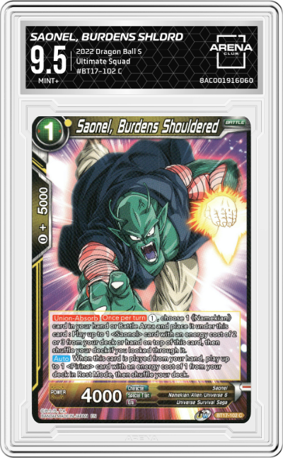 Saonel, Burdens Shouldered