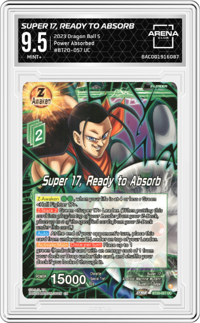 Super 17, Ready to Absorb