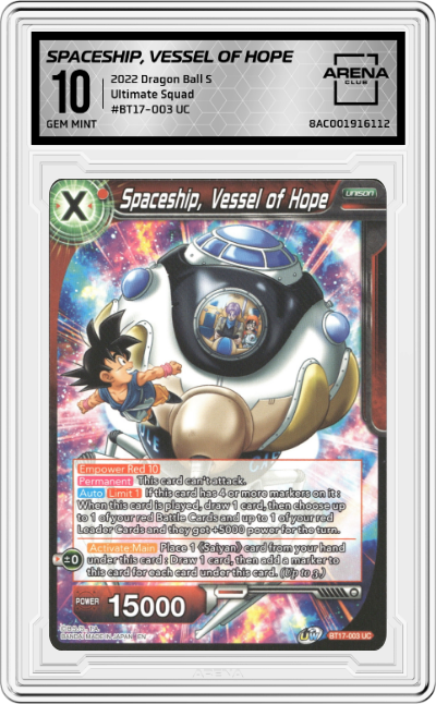 Spaceship, Vessel of Hope