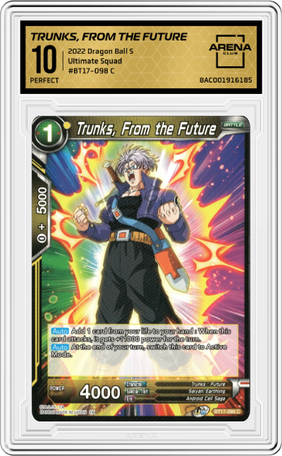 Trunks, From the Future