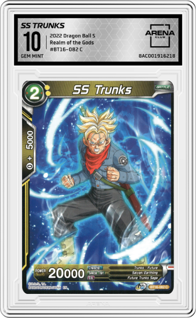 SS Trunks