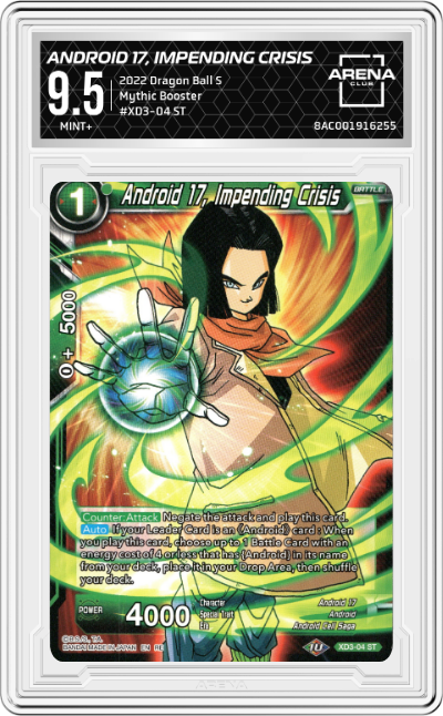 Android 17, Impending Crisis