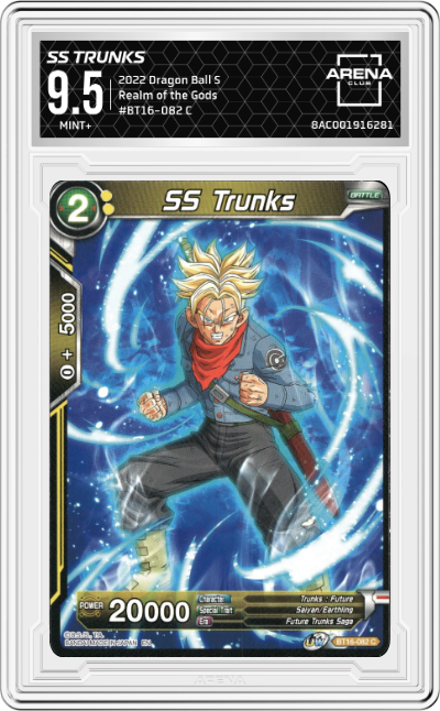 SS Trunks