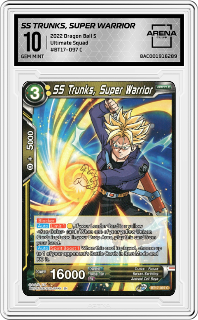 SS Trunks, Super Warrior