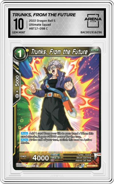 Trunks, From the Future