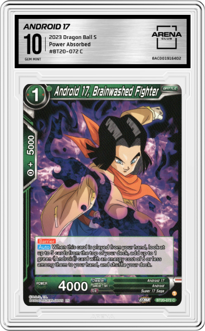 Android 17, Brainwashed Fighter