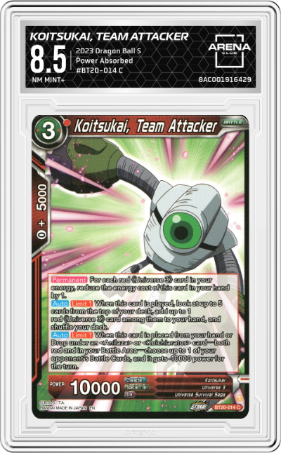 Koitsukai, Team Attacker