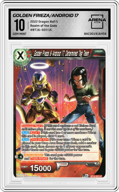 Golden Frieza & Android 17, Determined Tag Team