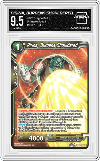 Pirina, Burdens Shouldered