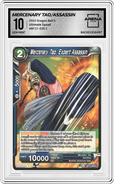 Mercenary Tao, Expert Assassin