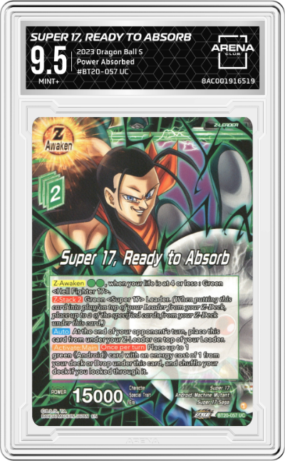 Super 17, Ready to Absorb