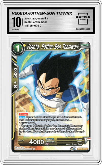 Vegeta, Father-Son Teamwork