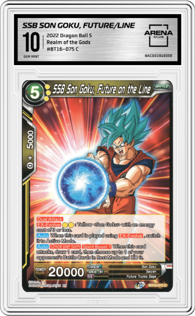 SSB Son Goku, Future on the Line