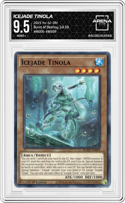 Icejade Tinola