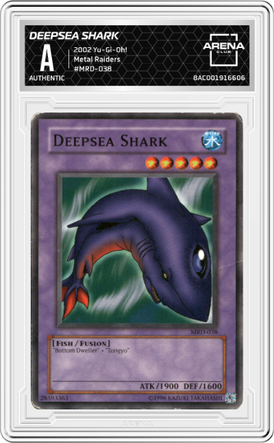 Deepsea Shark