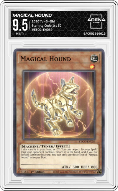 Magical Hound