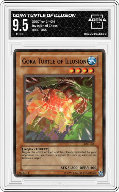 Gora Turtle of Illusion