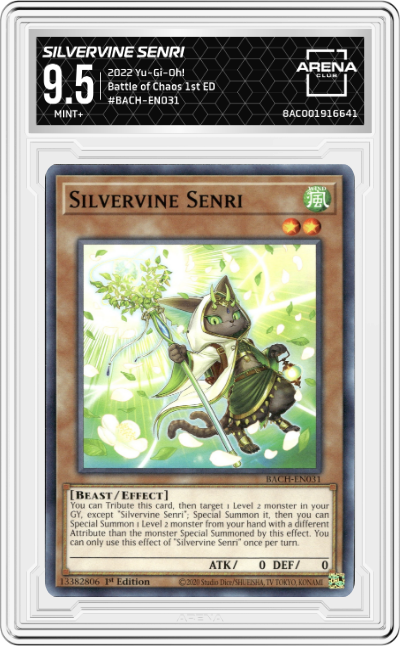 Silvervine Senri
