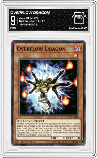 Overflow Dragon