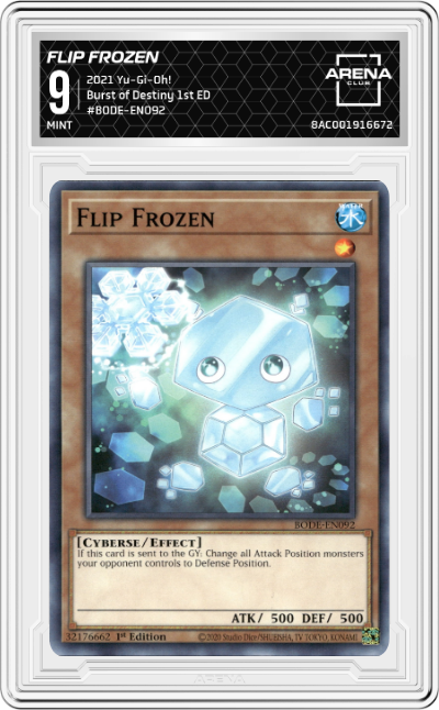 Flip Frozen