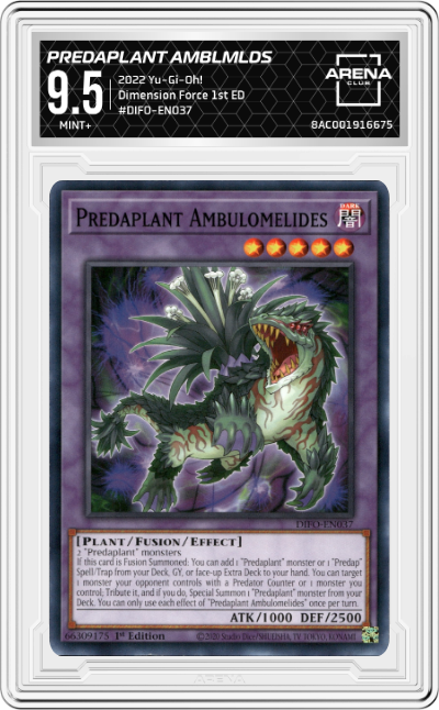 Predaplant Ambulomelides