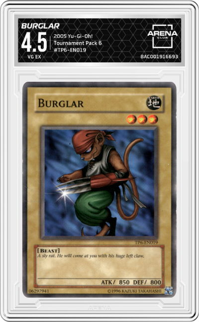 Burglar