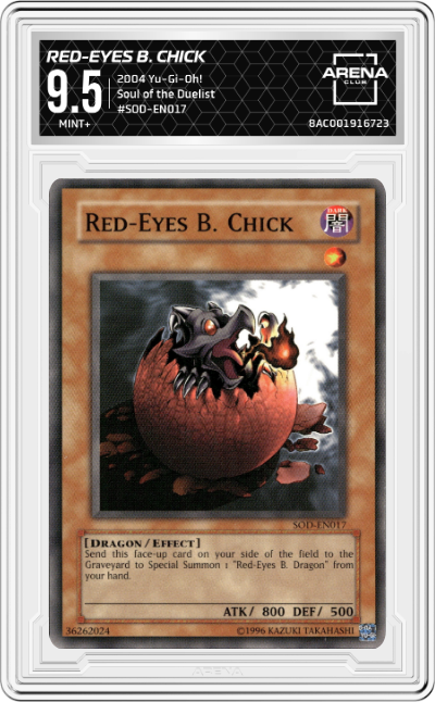 Red-Eyes B. Chick