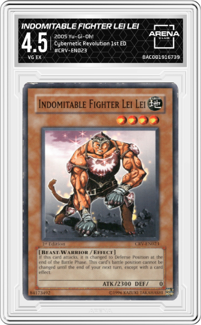 Indomitable Fighter Lei Lei