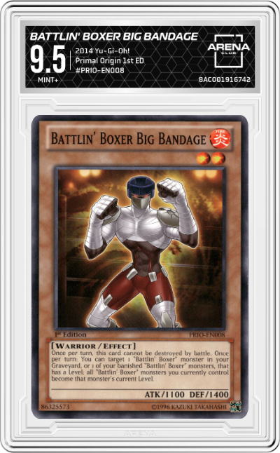 Battlin' Boxer Big Bandage