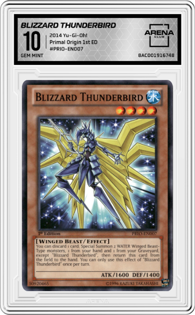 Blizzard Thunderbird