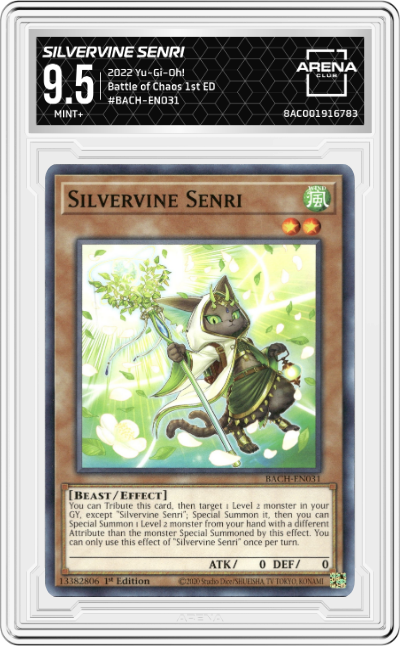 Silvervine Senri
