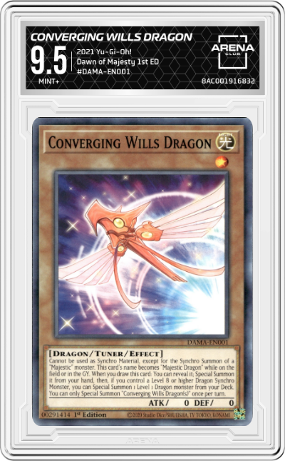 Converging Wills Dragon