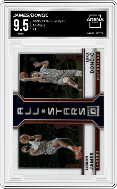 LeBron James/Luka Doncic