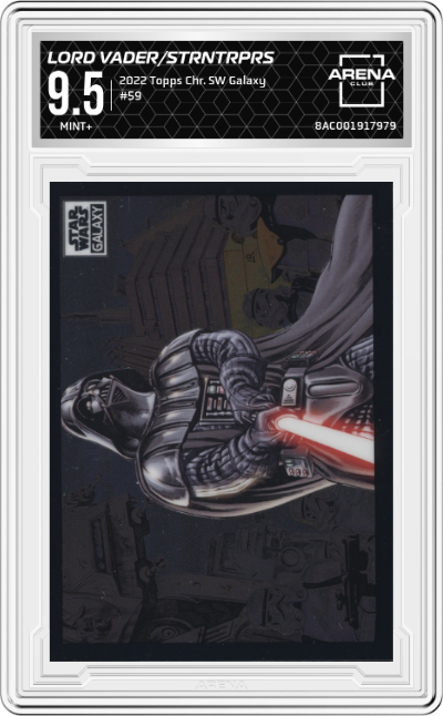 Lord Vader & His Stormtroopers