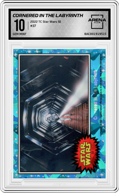 Cornered in the Labyrinth