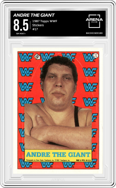 Andre the Giant