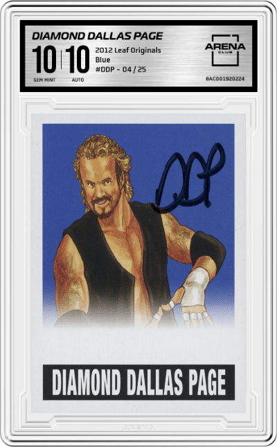 Diamond Dallas Page