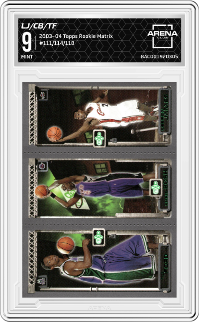 LeBron James/Chris Bosh/T.J. Ford