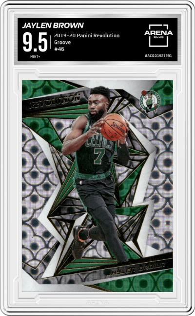 Jaylen Brown