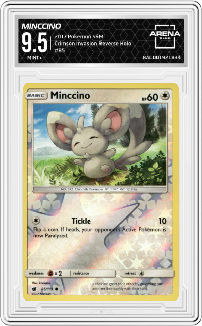 Minccino