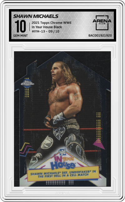 Shawn Michaels def. Undertaker in the First Hell in a Cell Match