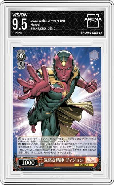 Vision, Noble Spirit 