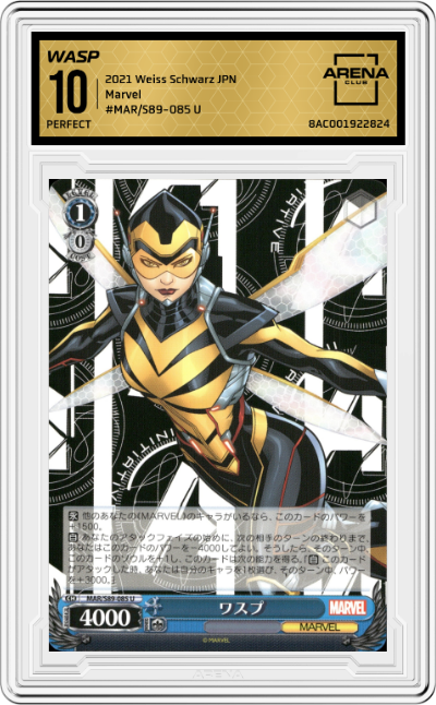 Wasp