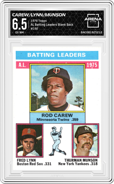 1976 Topps Leading Firemen (Al Hrabosky/Rich Gossage)