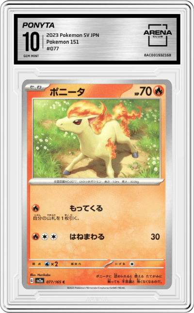 Ponyta