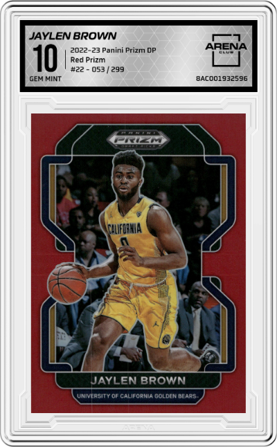 Jaylen Brown