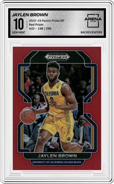 Jaylen Brown